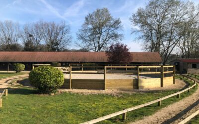 Animations au club